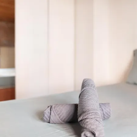 T3 Jeanne D'arc Charme Des Briques Toulousaines Toulouse