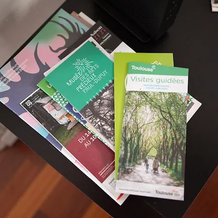 T3 Jeanne D'arc Charme Des Briques Toulousaines Toulouse