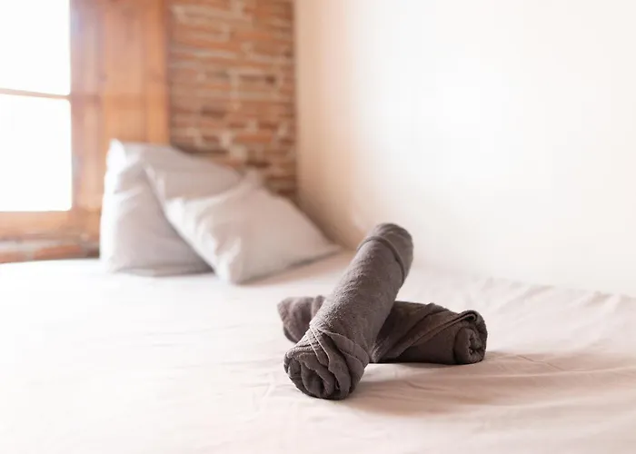 T3 Jeanne D'arc Charme Des Briques Toulousaines *