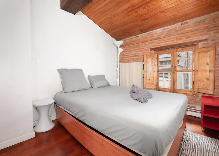 Appartement T3 Jeanne D'arc Charme Des Briques Toulousaines *