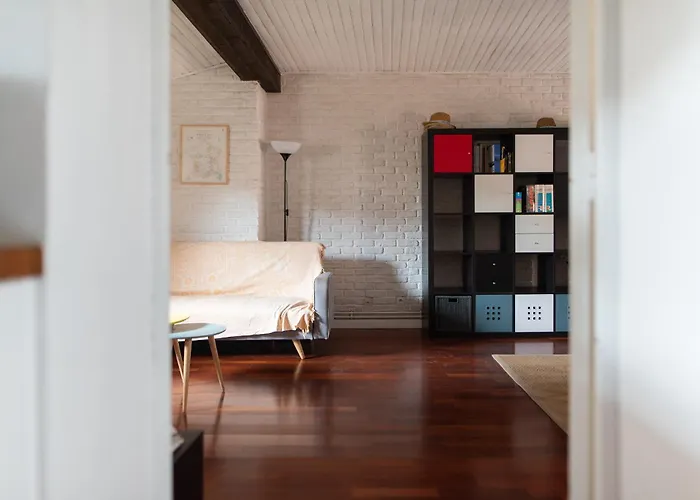 T3 Jeanne D'arc Charme Des Briques Toulousaines *