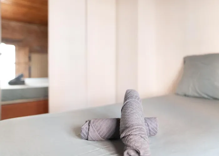 T3 Jeanne D'arc Charme Des Briques Toulousaines トゥールーズ