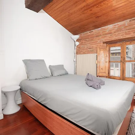 Apartment T3 Jeanne D'arc Charme Des Briques Toulousaines *