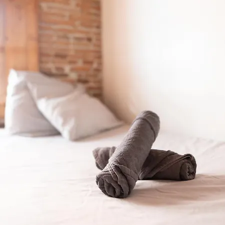 T3 Jeanne D'arc Charme Des Briques Toulousaines *